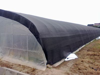 China sunshade net for green house 6m width x100m long supplier