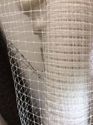 China white/black bird net,planting net,garden net supplier