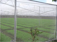 HDPE agriculture insect net for green house,50*25mesh 120gr/sqm,4m width