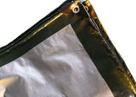 80gsm anti-rainy PE tarpaulin for garden use,6*8m,green/silver color