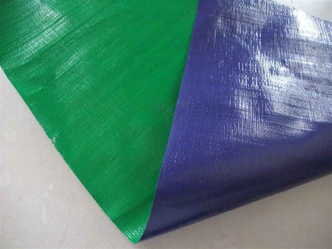 two color woven tarpaulin for garden use,2x3m,4x6m,blue color, 150/sqm