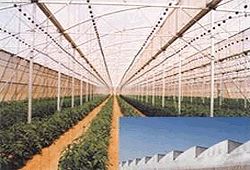 China green /black agriculture shade net, 50% shade ratio supplier
