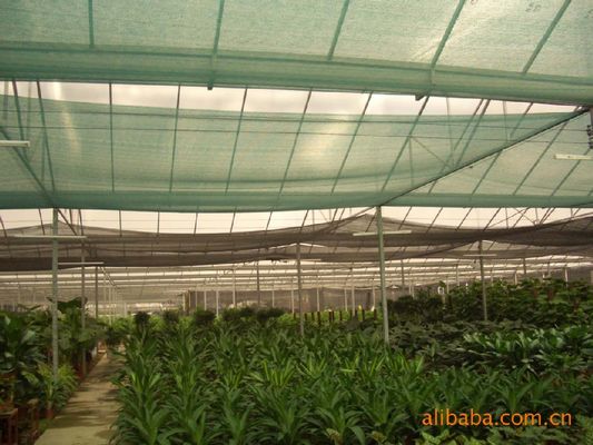 China 100% virgin pe net,insect net ,40x25mesh,90gr/sqm 5years life supplier