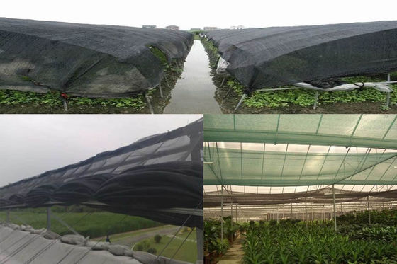China agriculture insect net,40x30mesh,105gr/sqm,4m width supplier