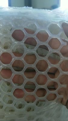 China white plastic extruded net, plastic barrier net for poulty,&amp; animals supplier