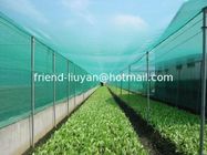 UV Treated Agriculture Insect Net
