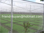 UV Treated Agriculture Insect Net