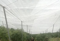White Agriculture Anti Insect Netting 40 Mesh  1m - 4m UV Resistant