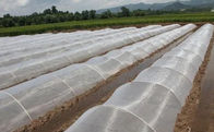 Anti Fungus Agriculture Insect Net UV Resistant HDPE 5000S