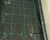100gsm Anti Weed Polypropylene Ground Cover PP Woven Fabric Ground Cover Weed Barrier