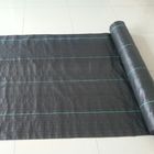120gsm Black Polypropylene Ground Cover Anti Weed PP Woven Ground Cover Fabric
