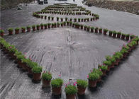 100gsm Black Weed Control Ground Cover PP Woven Fabric PP Woven Ground Cover