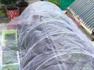 High Density Agriculture Insect Net 50gsm Plant Cover Net 60mesh White Vegetable