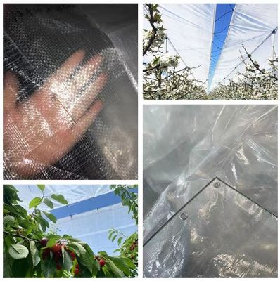 Transparent Agricultural Polyethylene Tarp With Strong Tear Strength 150N/50mm Warm  Green House Woven Fabric