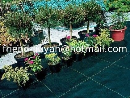 Black Polypropylene Weed Barrier Cover 90gsm Garden Membrane Ground Cover