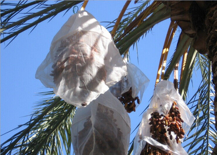 White Color Jujube Collecting Net Bags With Hook Loop For Africa  Anti-UV HDPE Mesh Bags